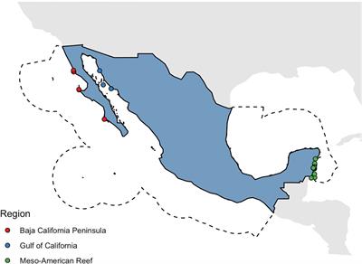 Two Decades of Community-Based Marine Conservation Provide the Foundations for Future Action